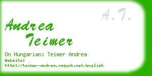 andrea teimer business card